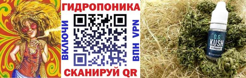Марихуана White Widow  OMG рабочий сайт  Стародуб  купить наркотики сайты 